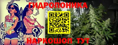 дурь Будённовск
